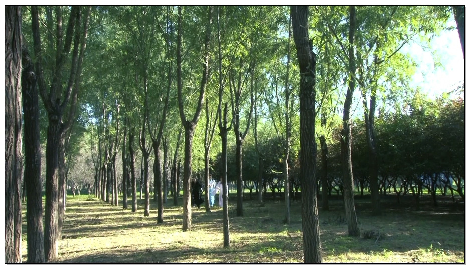 【怀旧影苑】女神捕之江南烟云 下