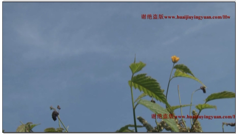 【5-怀旧影苑】敌工部 5