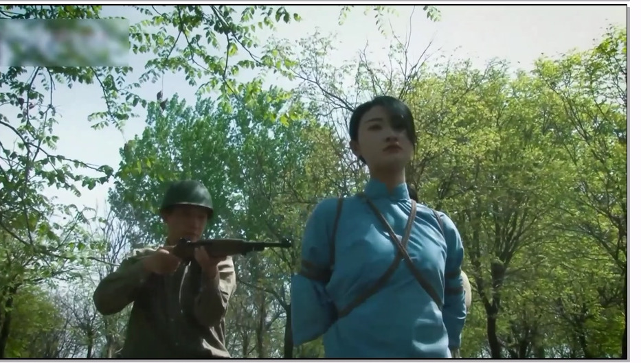 【怀旧影苑】去影2023版 上