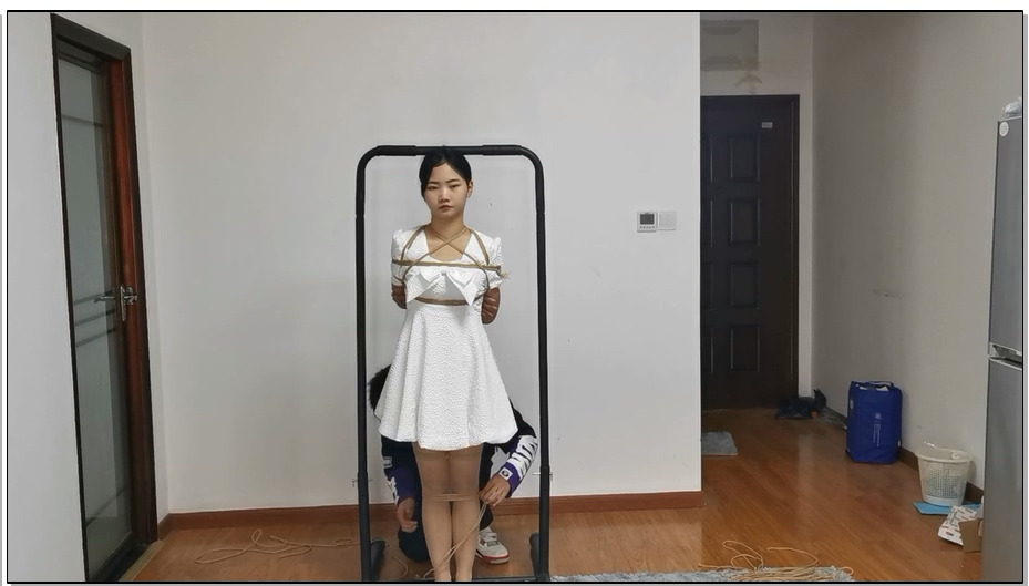 【奥特曼】小九一小时放置 