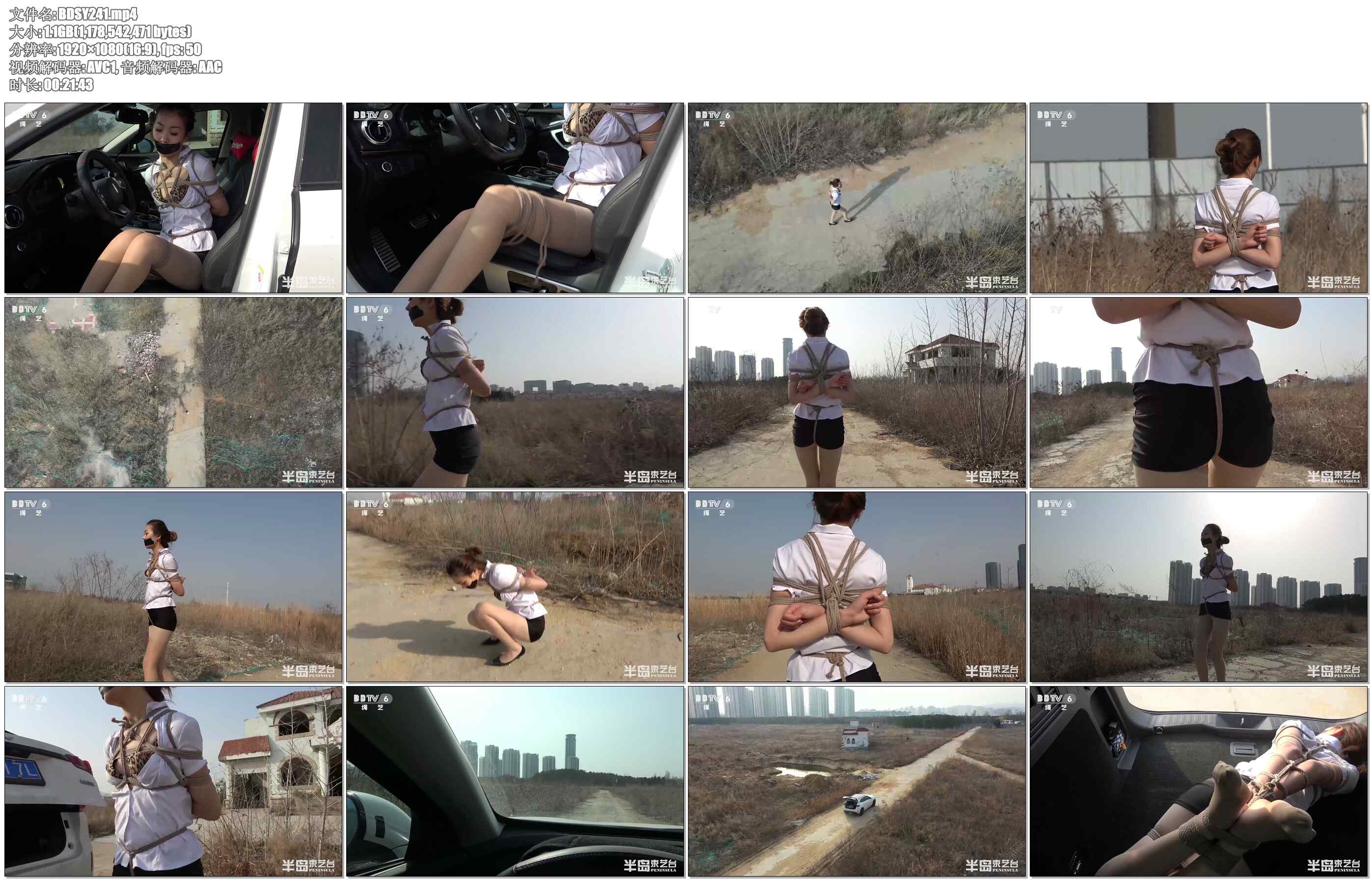 【半岛束艺】滨海路废弃别墅外星劫持事件 下