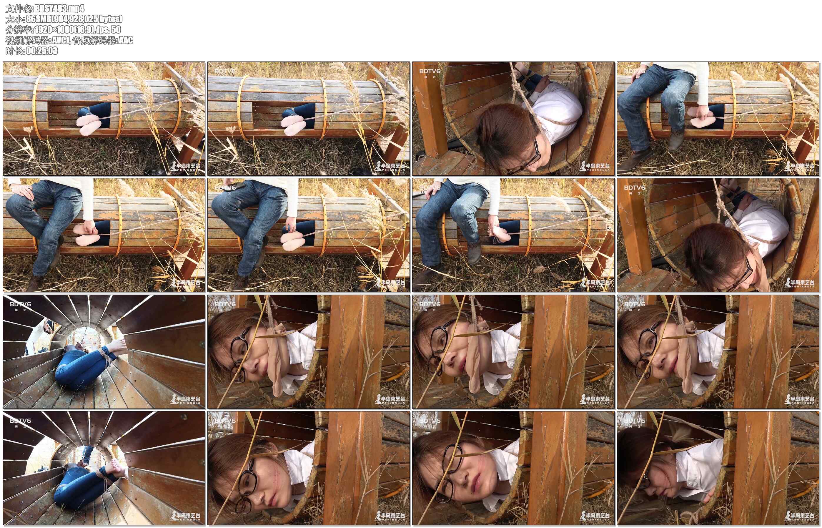 【半岛束艺】鹿野游乐园计划（二）狗洞放置TK