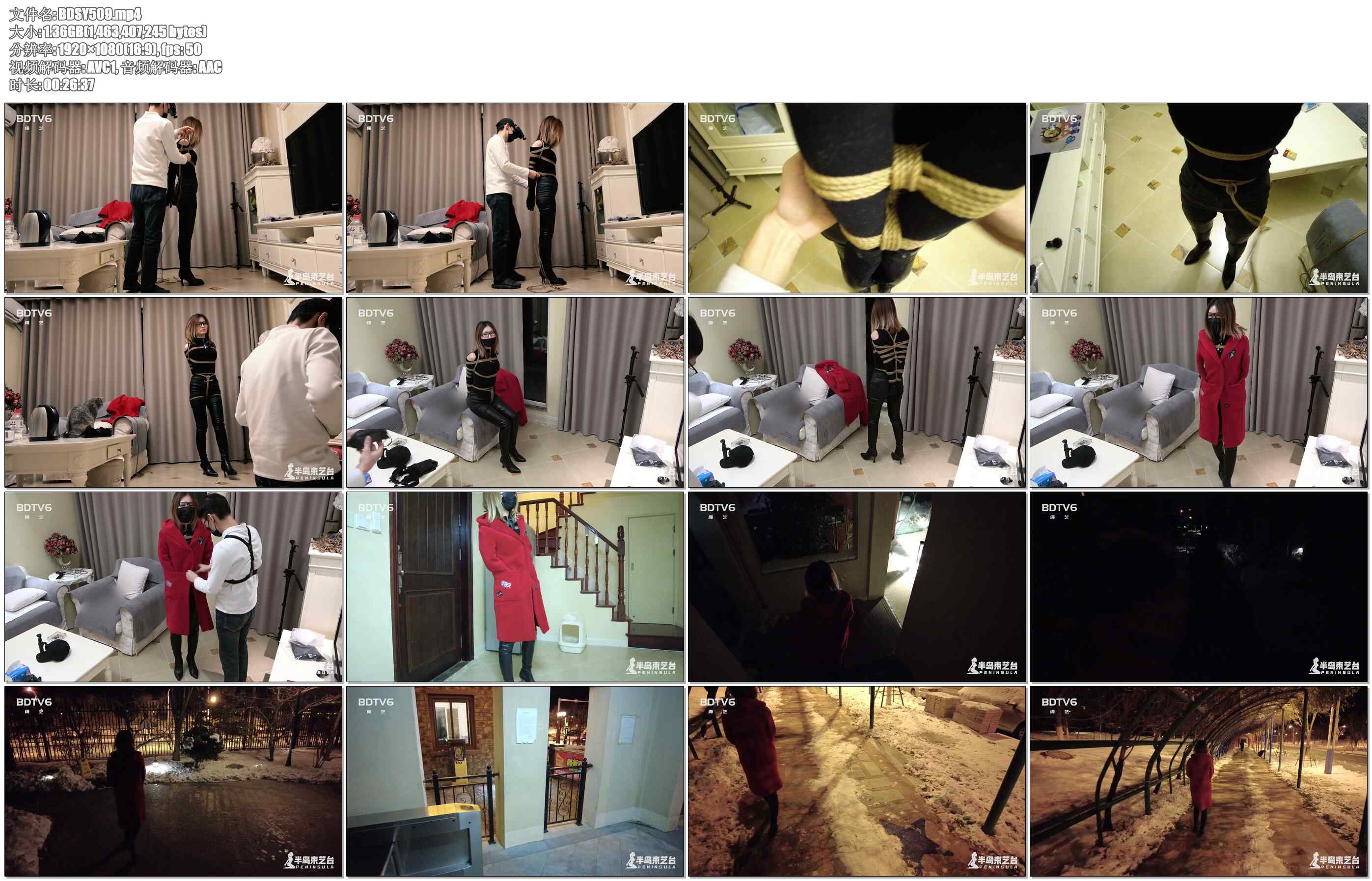 【半岛束艺】半岛冬季户外系列开启：大衣姐鹿野的社区游行