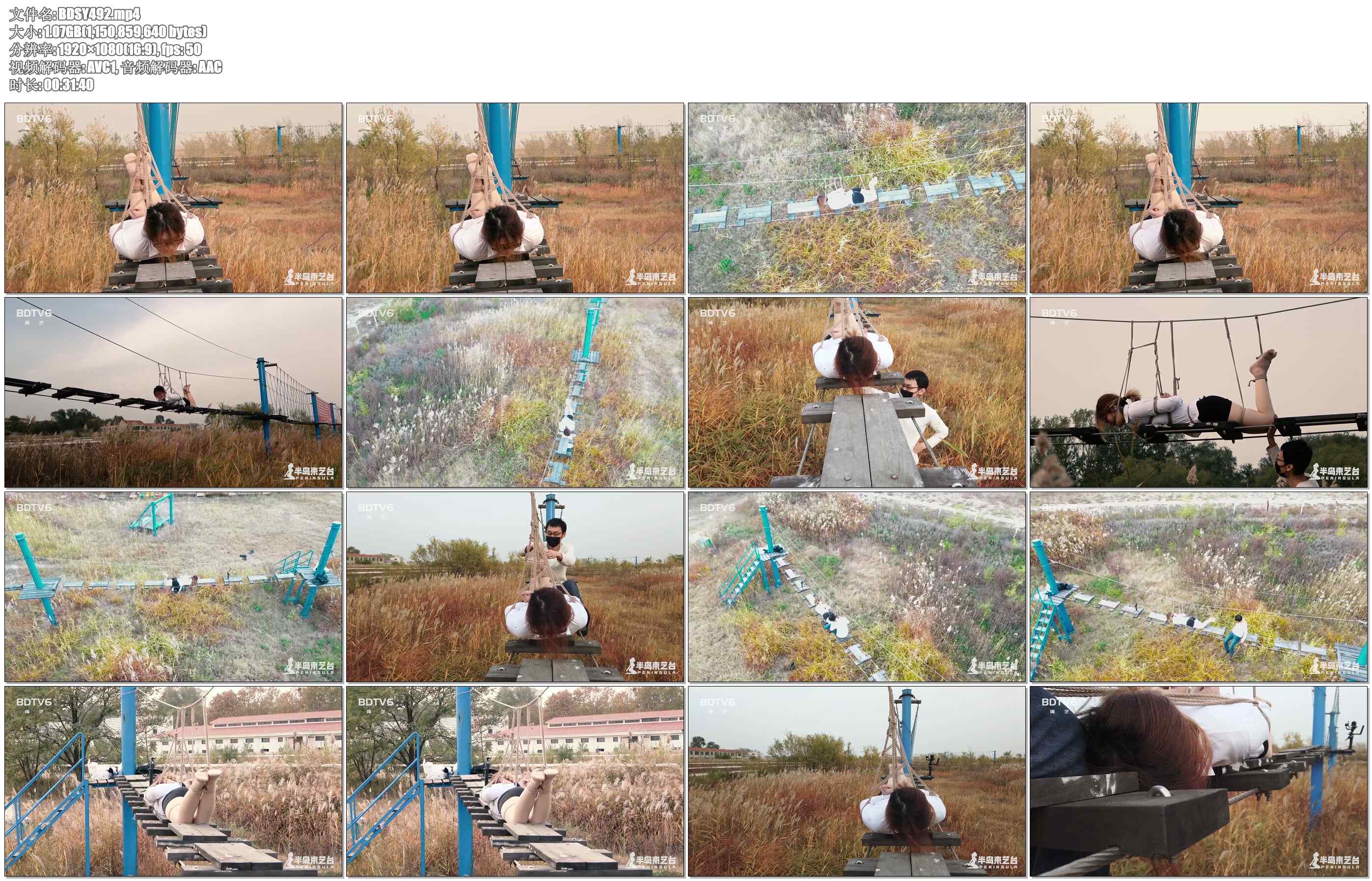 【半岛束艺】鹿野游乐园计划 命悬一线