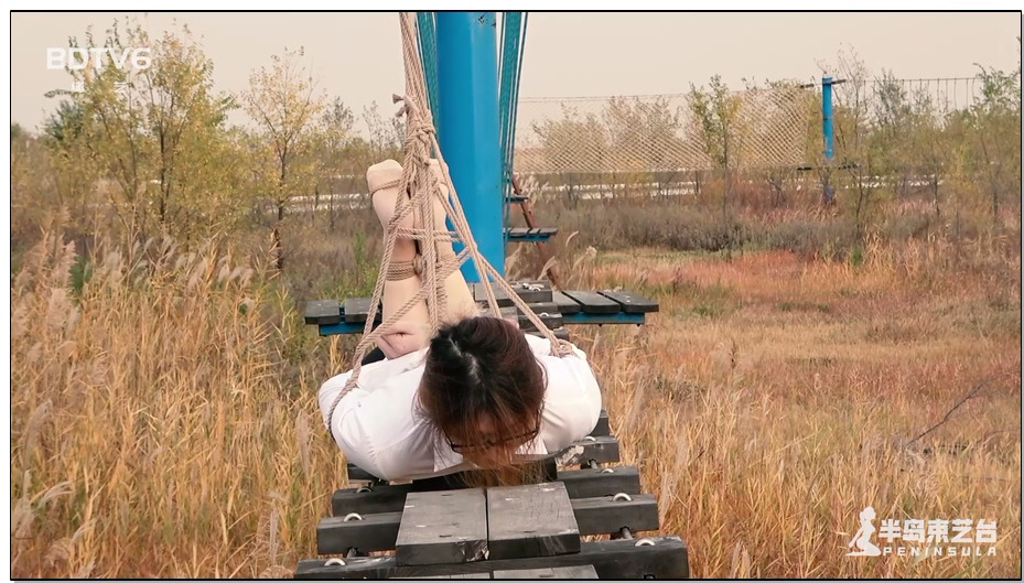 【半岛束艺】鹿野游乐园计划 命悬一线