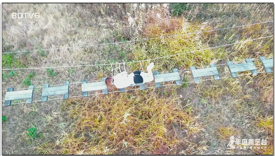 【半岛束艺】鹿野游乐园计划 命悬一线