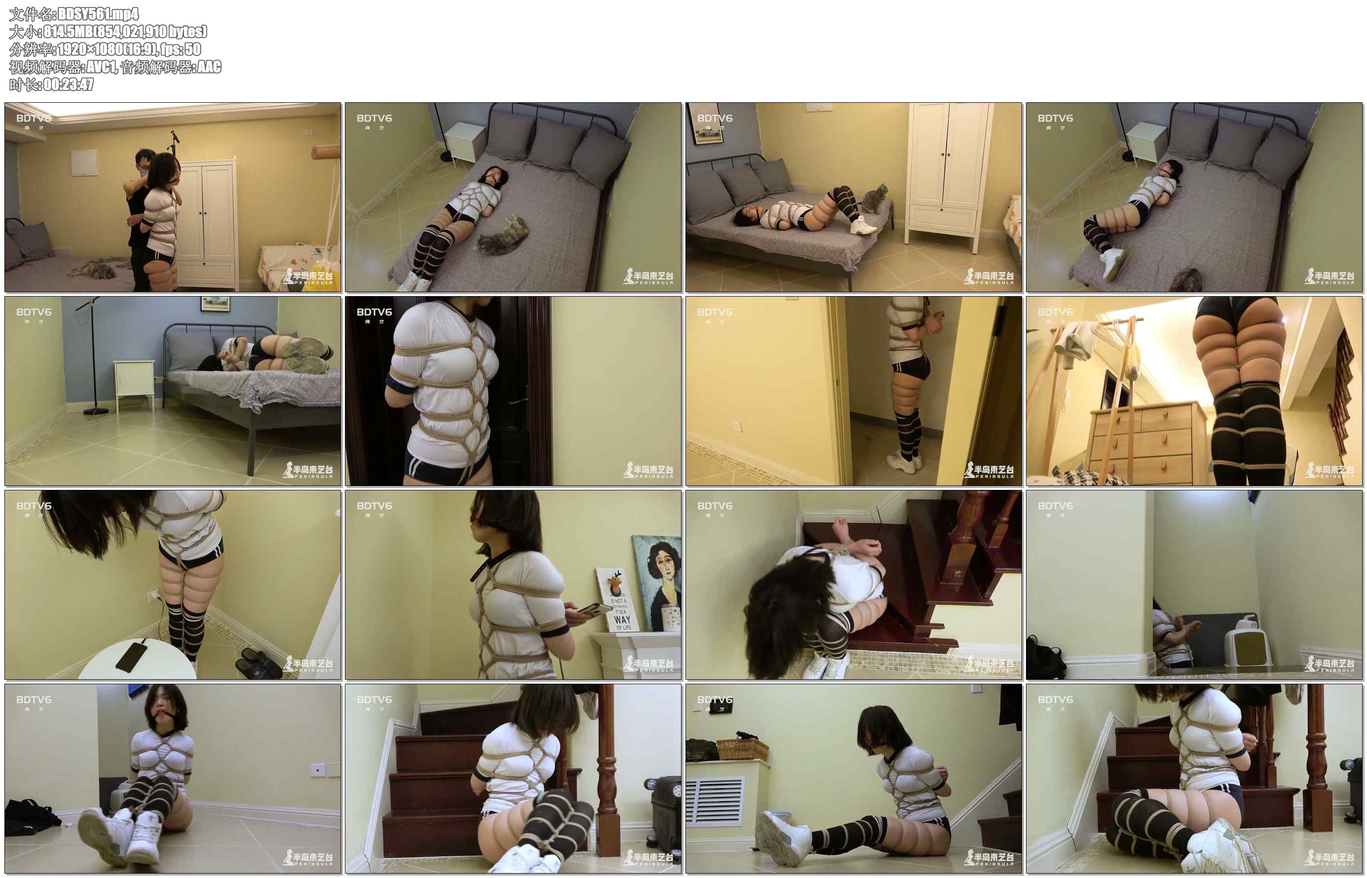 【半岛束艺】定拍好奇心打开了新世界之尴尬的相遇