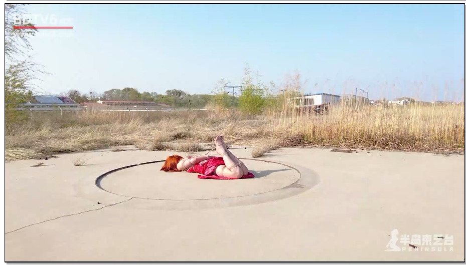 【半岛束艺】苏心 寂静的荒野放置