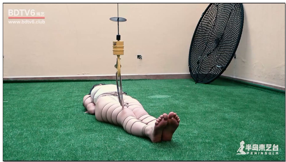 【半岛束艺】拉丁高叉泳装绝美倒吊