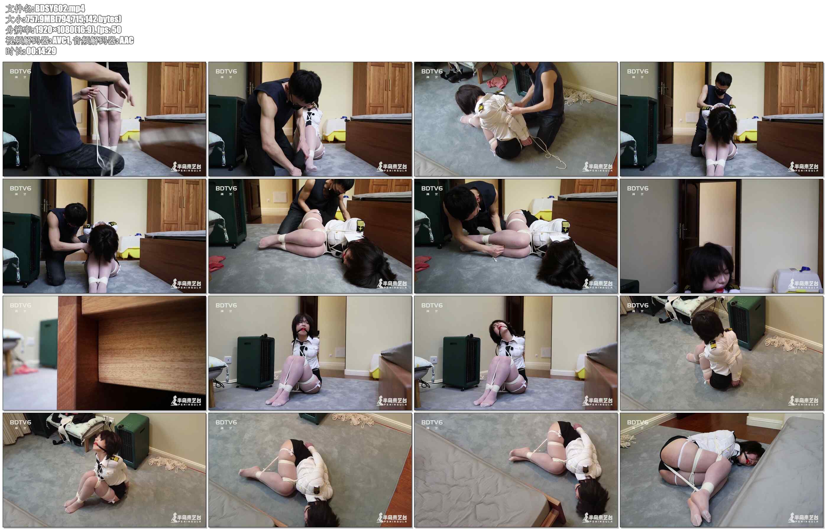 【半岛束艺】丹麦定拍：机长的另一种航班 2