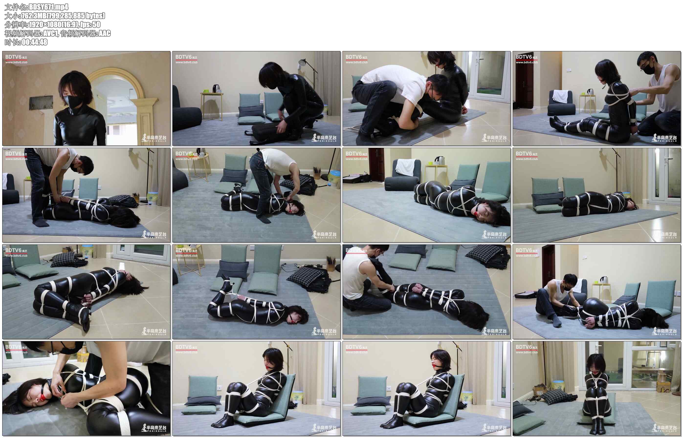 【半岛束艺】证据