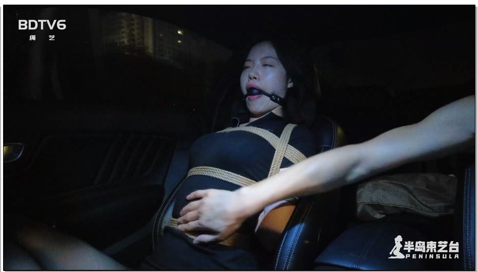 【半岛束艺】海语夜行回家记