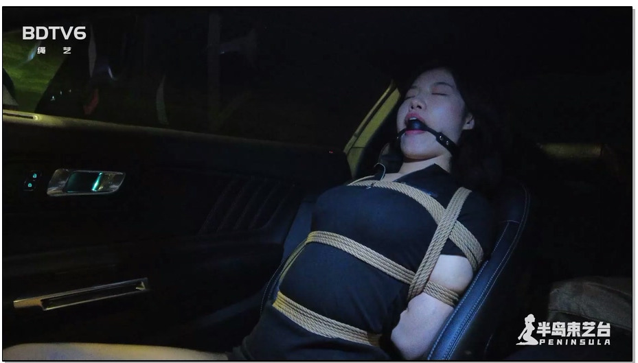 【半岛束艺】海语夜行回家记