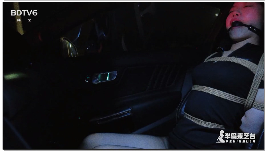 【半岛束艺】海语夜行回家记