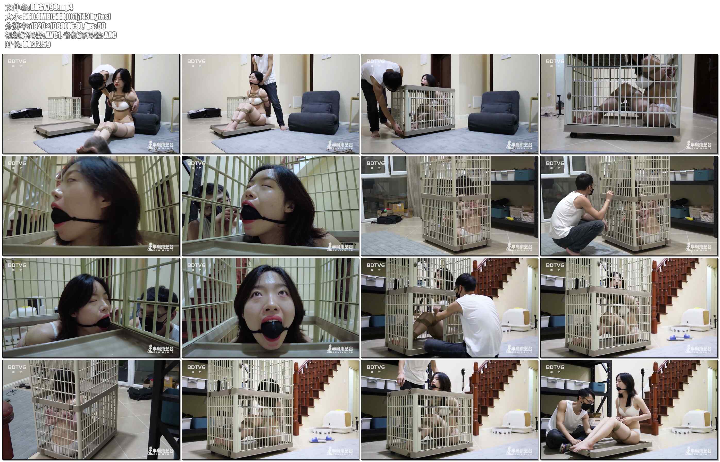 【半岛束艺】猫笼里的无忧生活