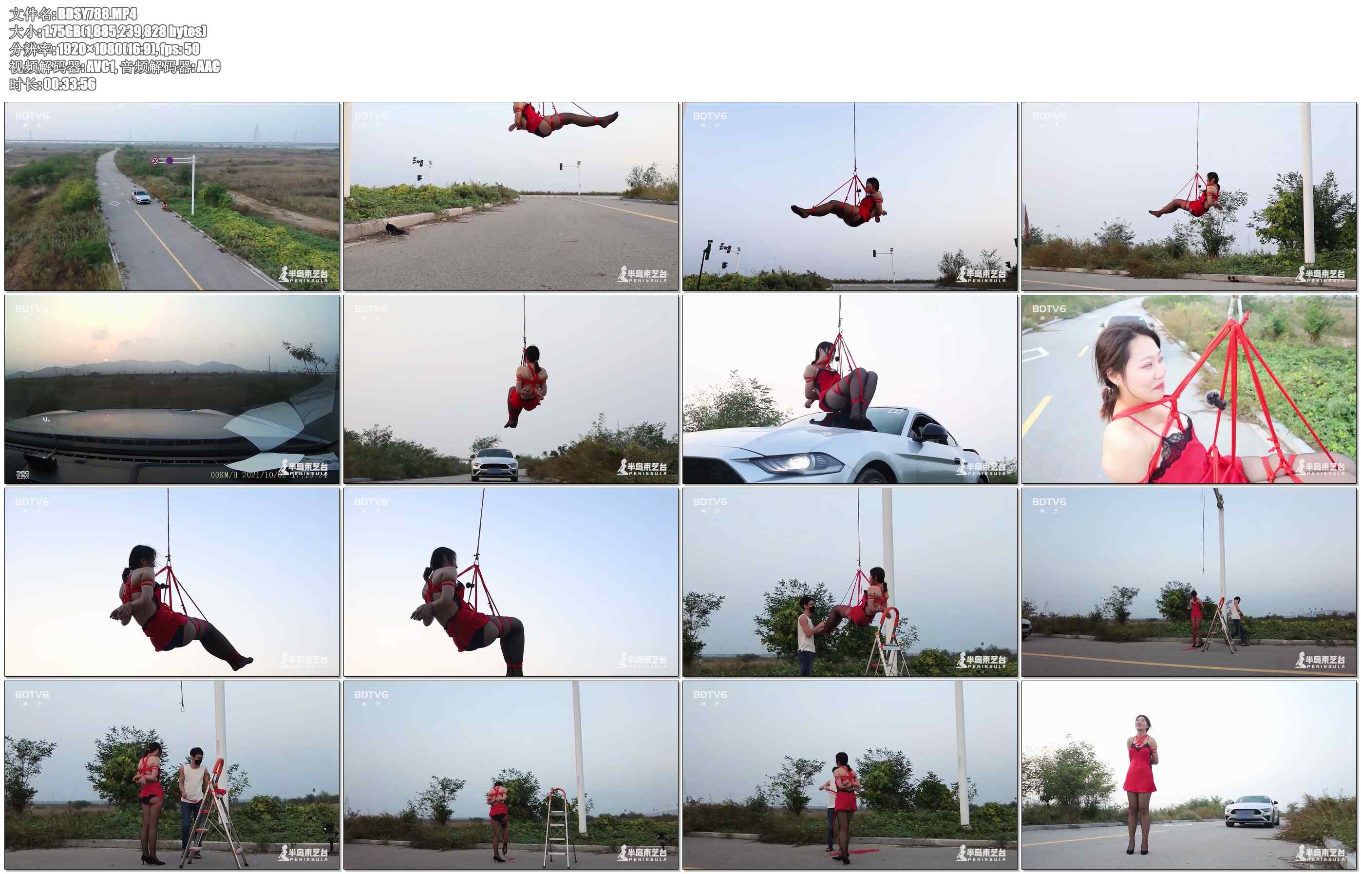 【半岛束艺】拉丁 疯狂的碰碰车