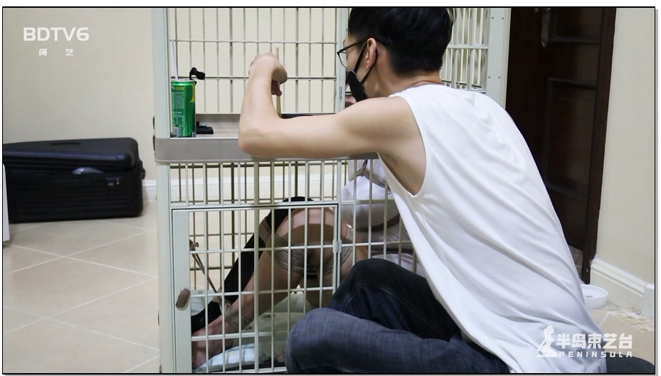 【半岛束艺】雪碧 死囚最后一顿饭的感觉